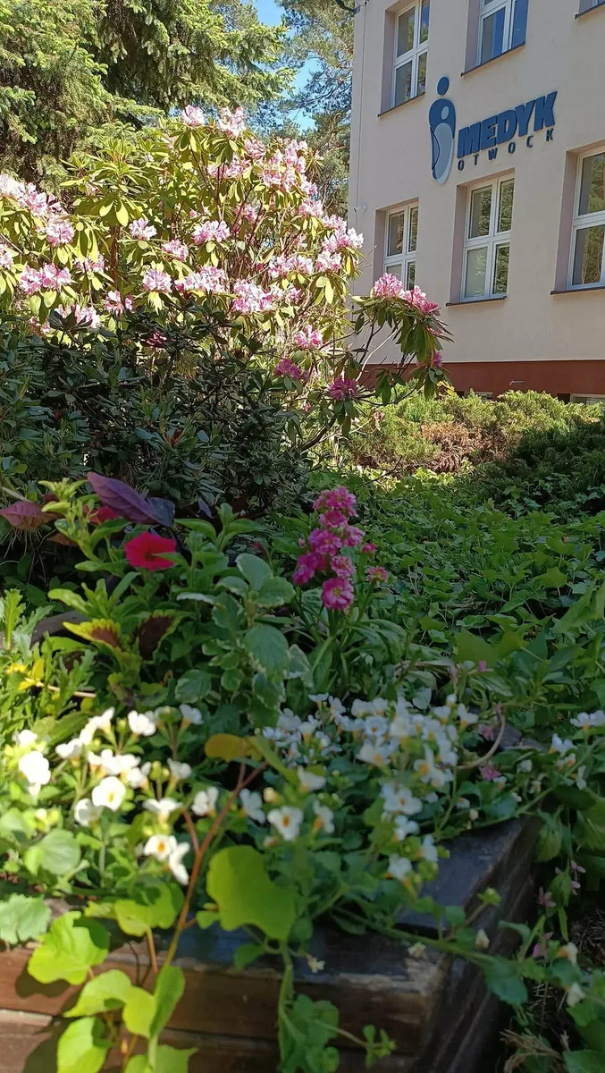 Zdjęcie 1